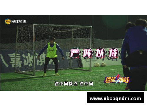 米乐M6足球明星跨界挑战冰球场的惊险时刻与精彩瞬间分享 - 副本
