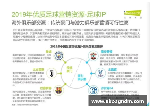 米乐M6足球球星的终极定义：成就与影响力的综合评判标准分析 - 副本