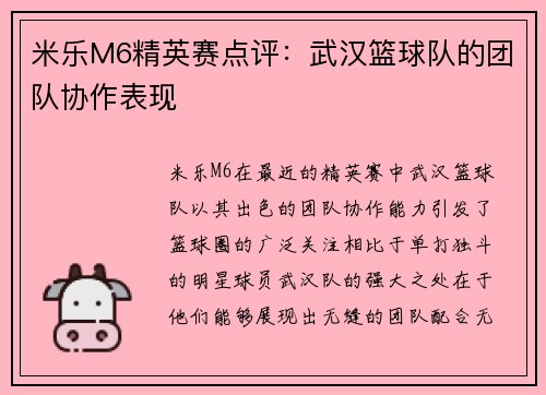 米乐M6精英赛点评：武汉篮球队的团队协作表现