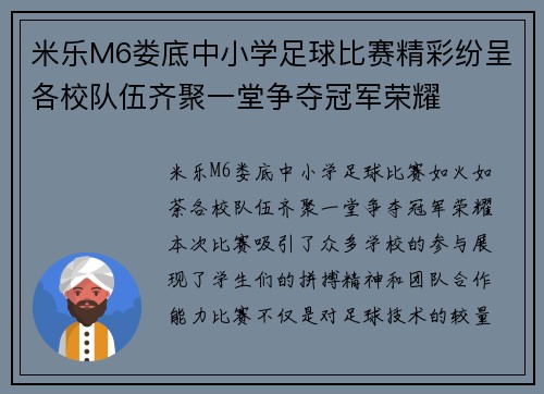 米乐M6娄底中小学足球比赛精彩纷呈各校队伍齐聚一堂争夺冠军荣耀