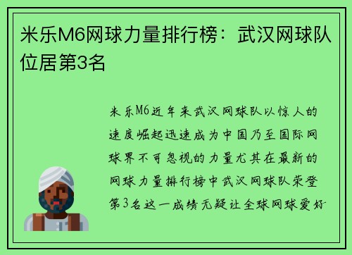 米乐M6网球力量排行榜：武汉网球队位居第3名